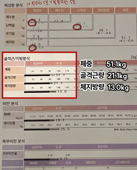 전이미지