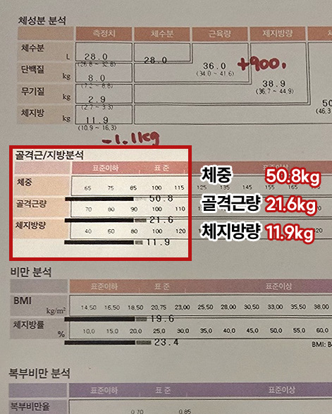 후이미지