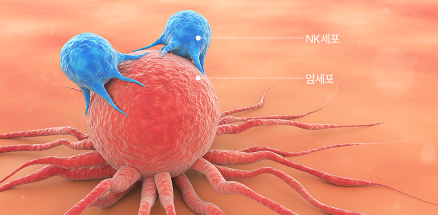 소개이미지